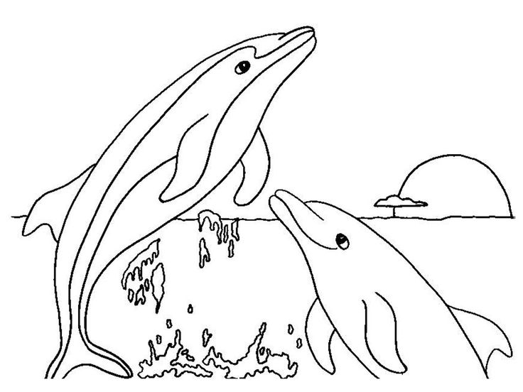 Dolphins jumping realistic coloring pages - TSgos.com