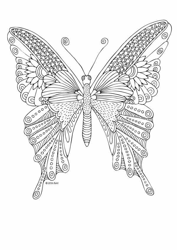 Kittens and Butterflies: Coloring Book by Katerina Svozilova www.amazon