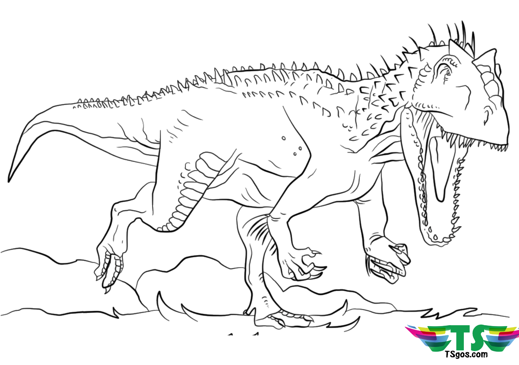 Dinosaur Tyrannosaurus rex coloring page   TSgos.com   TSgos.com