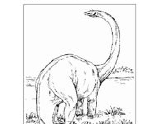 Dinosaurs Worksheets for Kids - TSgos.com