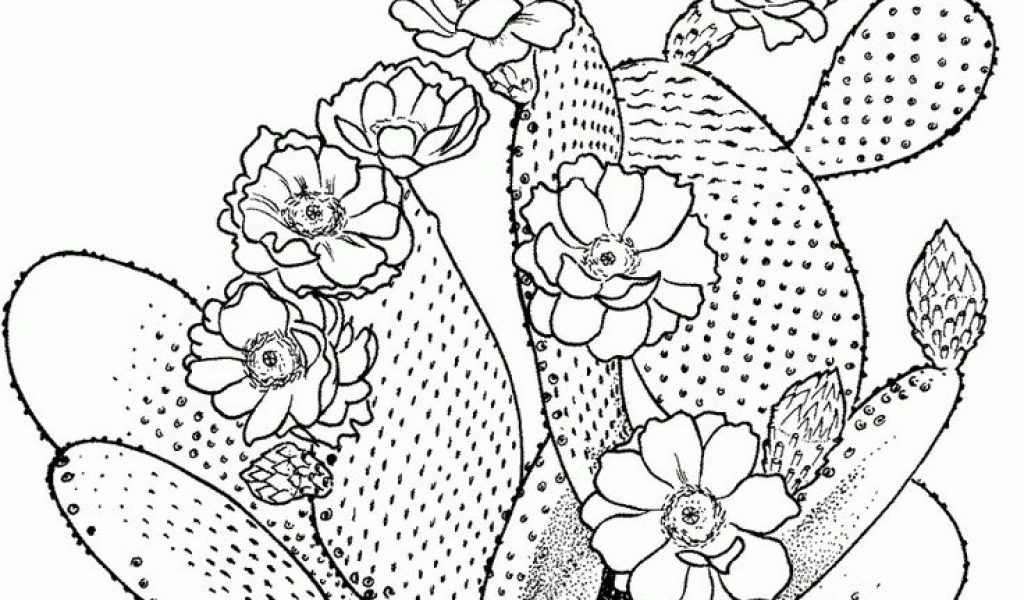 Free Printable Cactus Coloring Pages For Kids - TSgos.com