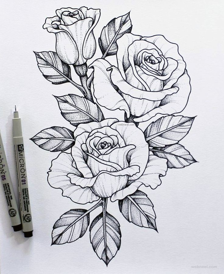 2-flower-drawing-rose-Daily-Inspiration 2-flower-drawing-rose | Daily Inspiration