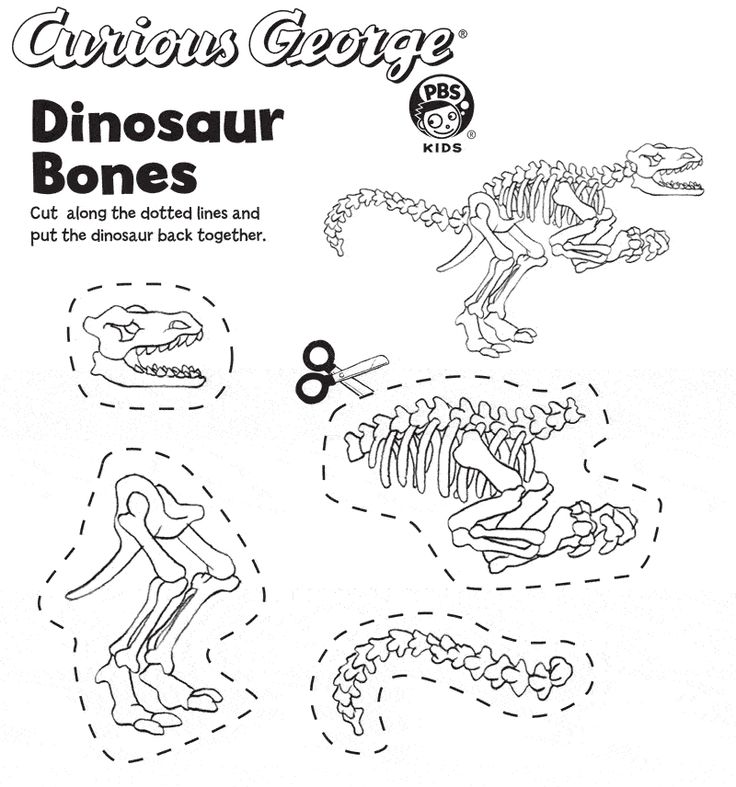 5+ Fun Dinosaur Coloring Printables
