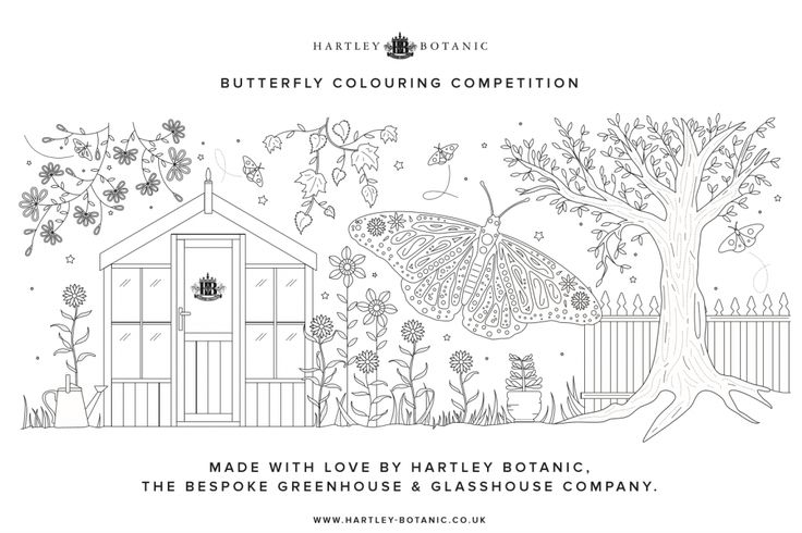 Announcing our Children’s Butterfly Colouring Competition!