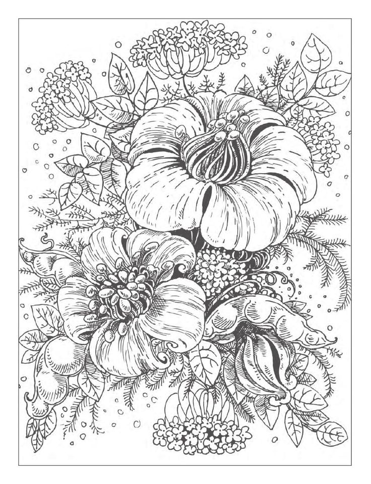 Beautiful Flowers Detailed Floral Designs Coloring Book – preview