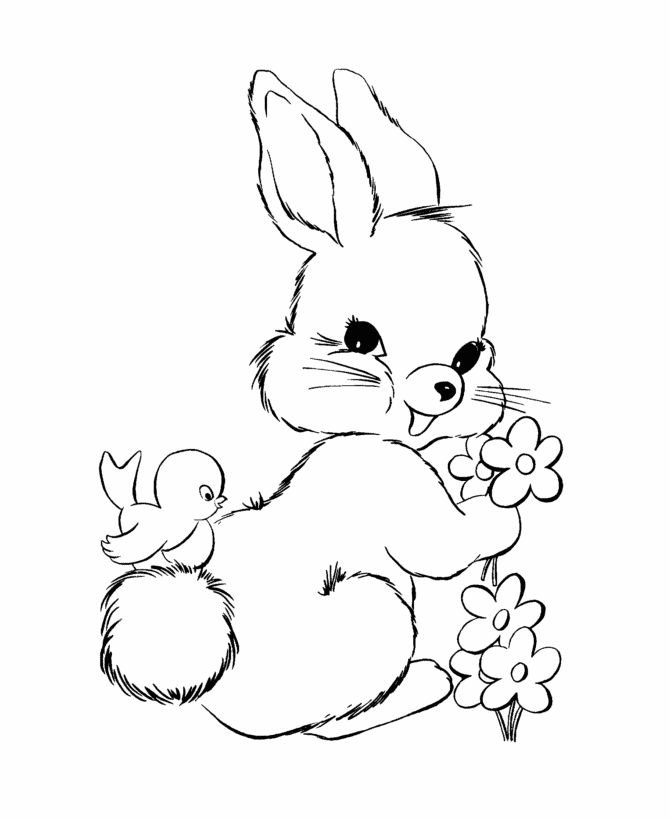 Bunny Coloring Pages Wallpaper