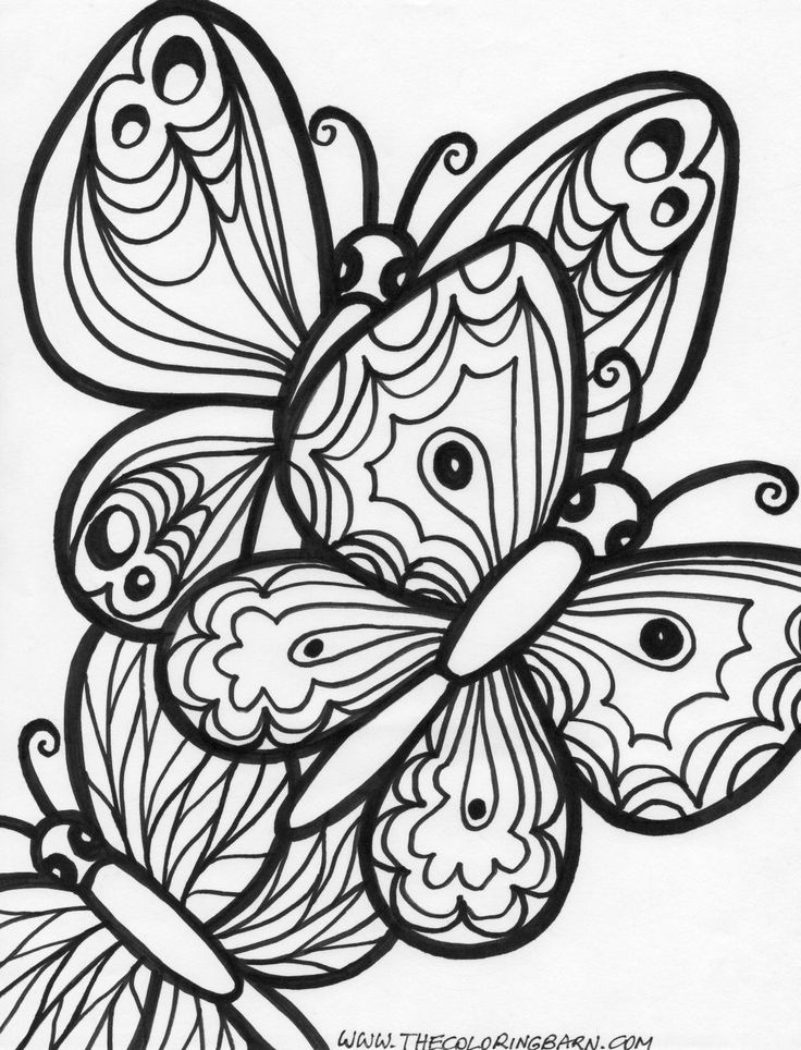 Butterflies-Coloring-Page Butterflies Coloring Page