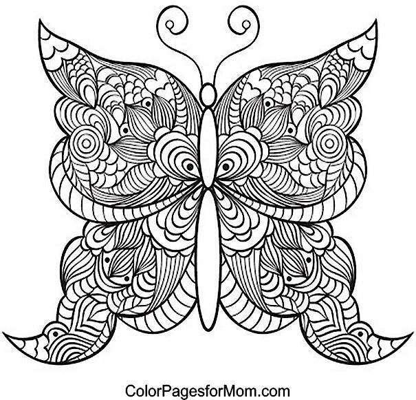 Butterfly-Coloring-Page-21 Butterfly Coloring Page 21