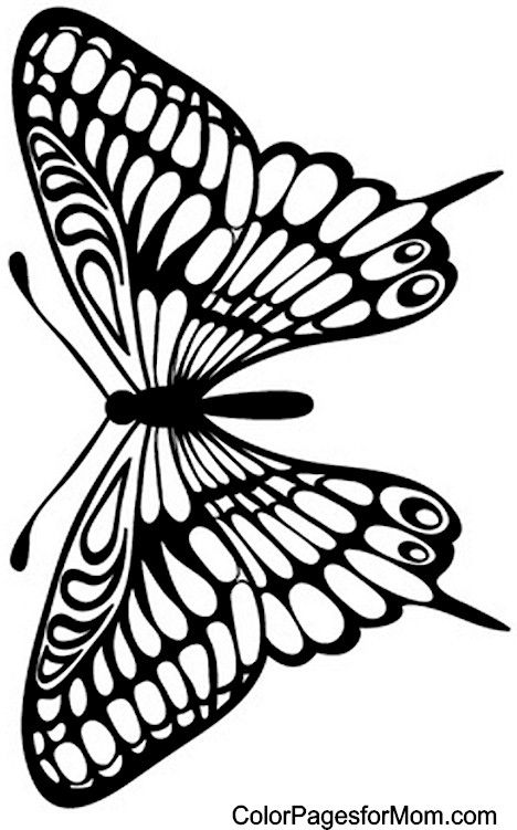 Butterfly Coloring Page 29