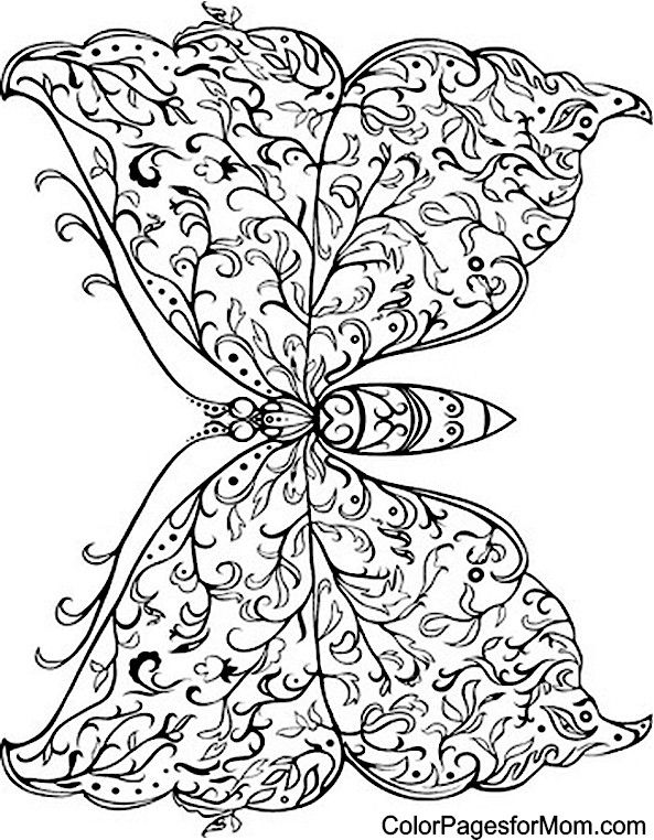 Butterfly Coloring Page 33 ✖️More Pins Like This One At FOSTERGINGER @ Pinte…