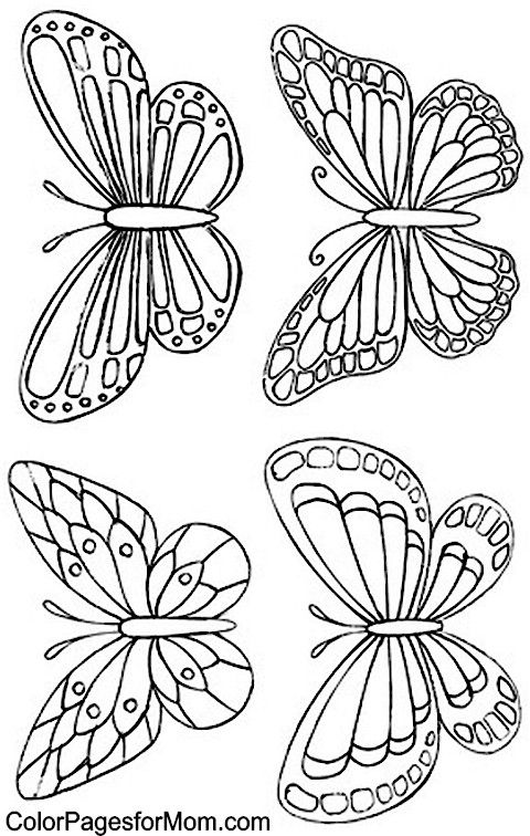 Butterfly Coloring Page 34