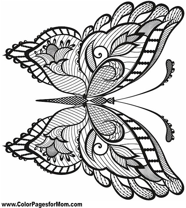 Butterfly Coloring Page 38
