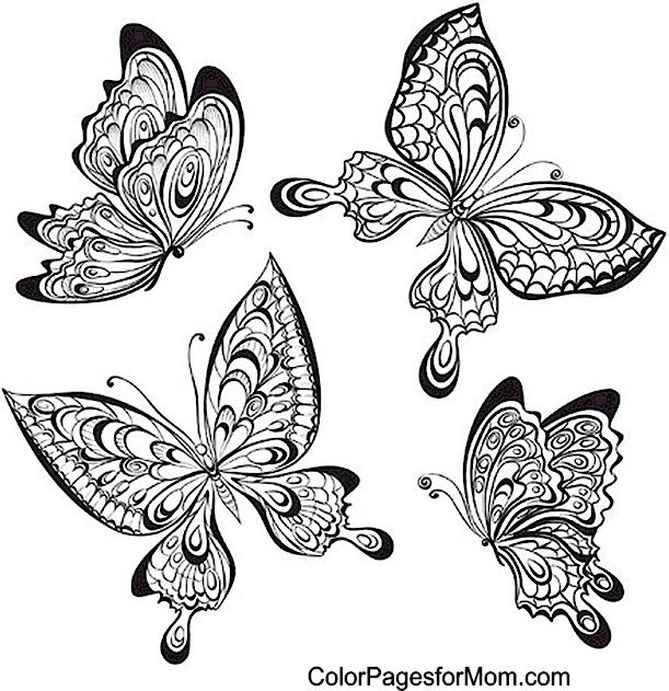 Butterfly-Coloring-Page-56 Butterfly Coloring Page 56