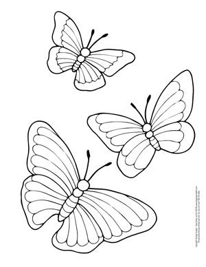 Butterfly-Coloring-Pages-Free-Printable-from-Cute-to Butterfly Coloring Pages - Free Printable - from Cute to Realistic Butterflies