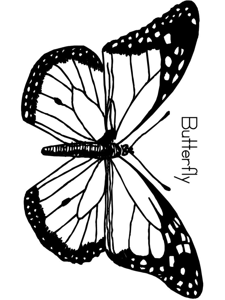 Butterfly Coloring Pages – PrimaryGames.com