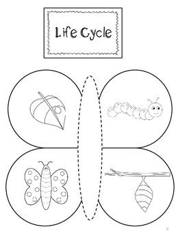 Butterfly Interactive Lapbook – Life Cycle, Counting, Colors