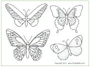 Butterfly Set 5
