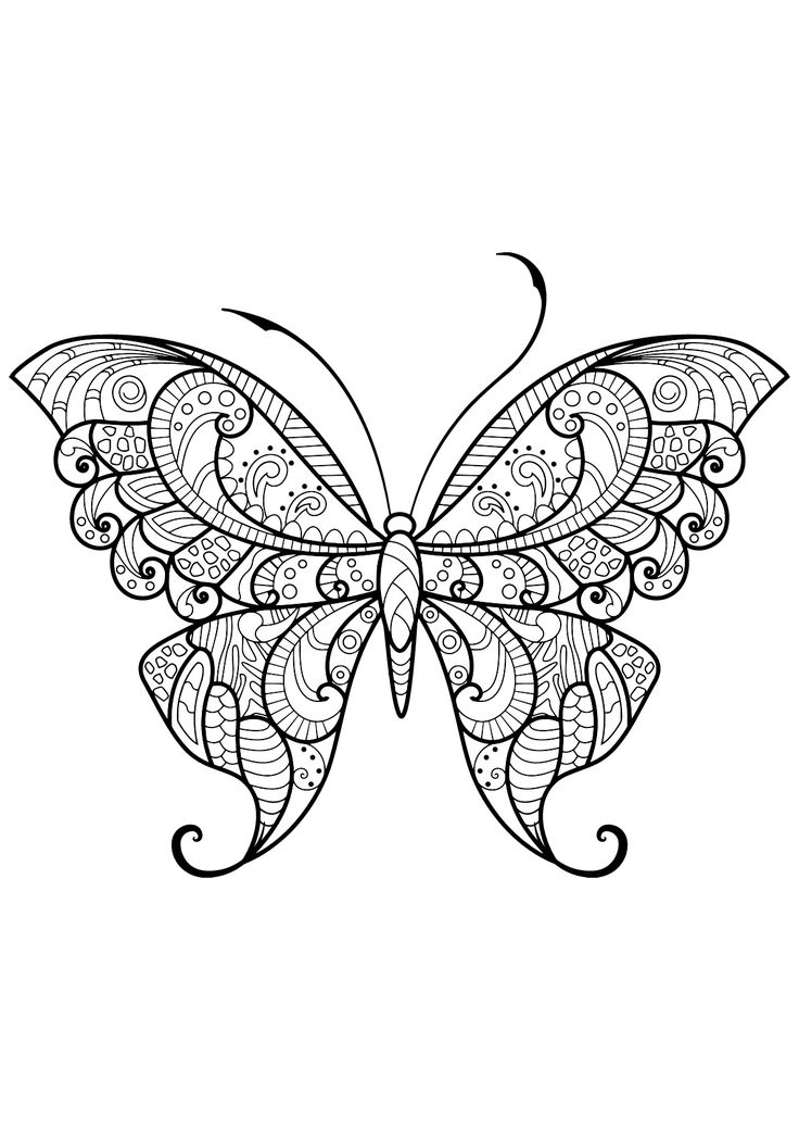 Butterfly beautiful patterns 12 – Butterfly with beautiful patterns – 12. From t…