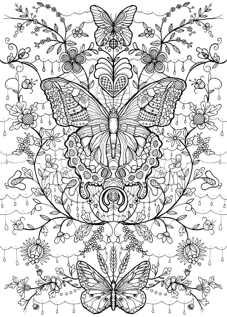 Butterfly coloring page : kolorowanka motyle