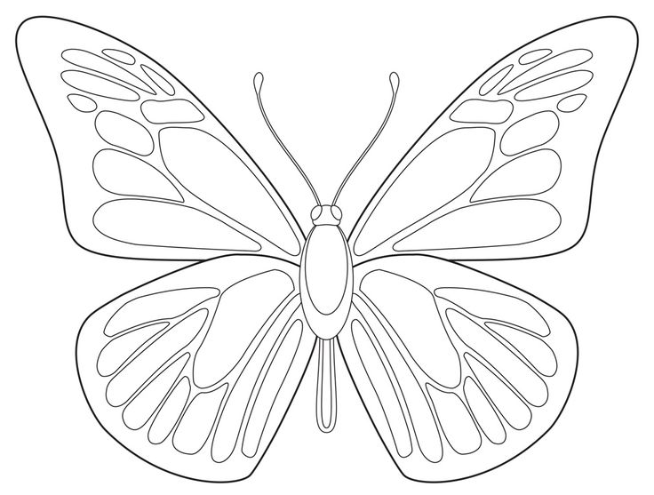 Butterfly coloring page. #Printables