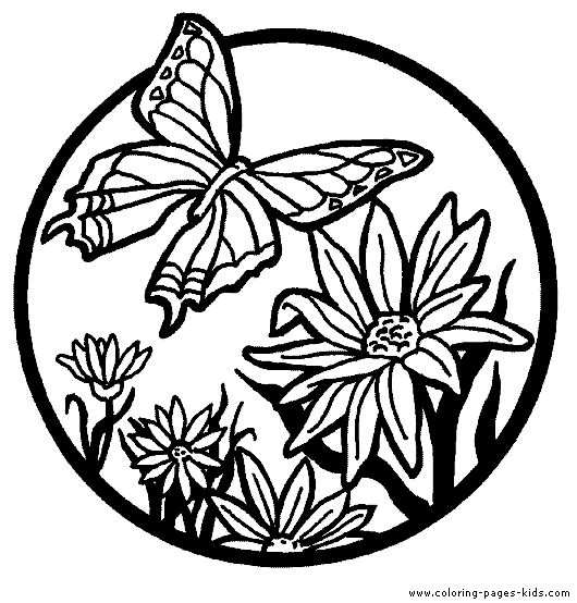 Coloring Page Printable Butterfly Colouring | butterfly color page, animal color… Wallpaper