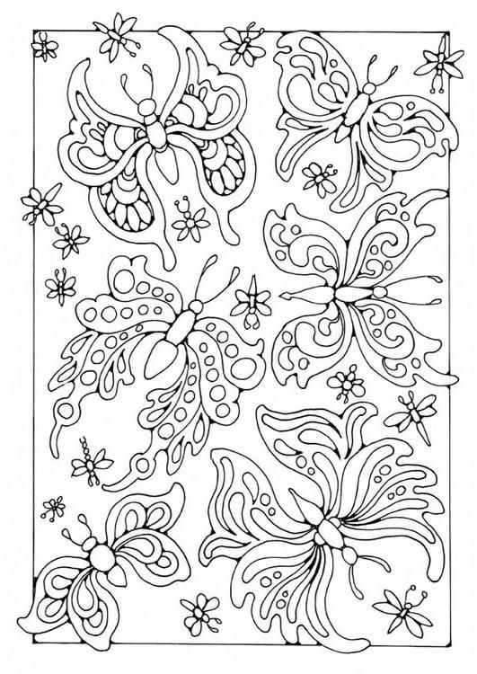 Coloring page butterflies – coloring picture butterflies. Free coloring sheets t…