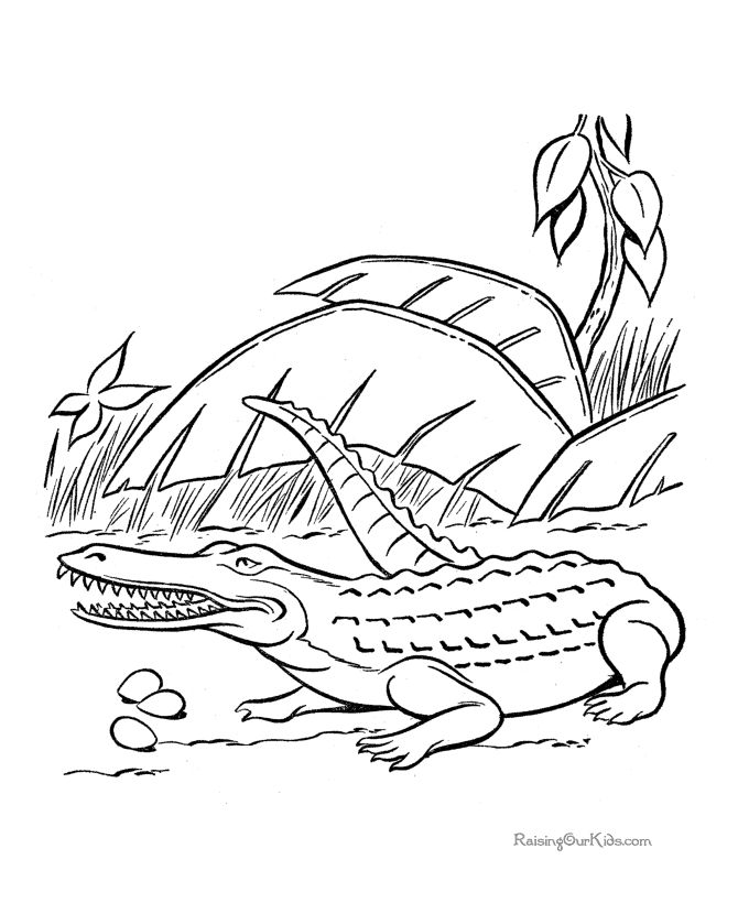 Dinosaur coloring sheets – Crocodile