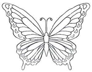 FREE-Butterfly-Coloring-pages FREE Butterfly Coloring pages