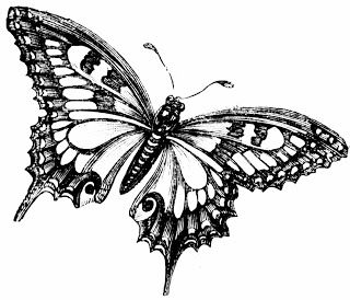 **FREE ViNTaGE DiGiTaL STaMPS**: Free Vintage Digital Stamp – Pretty Butterfly