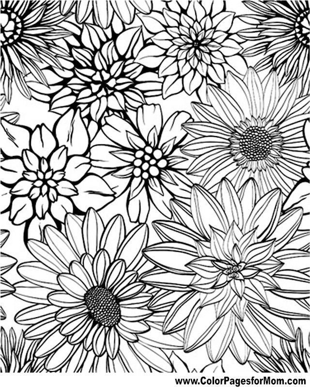 Flower Coloring Page 79