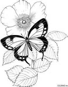 Flower Coloring Pages For Adults – Bing Images Wallpaper