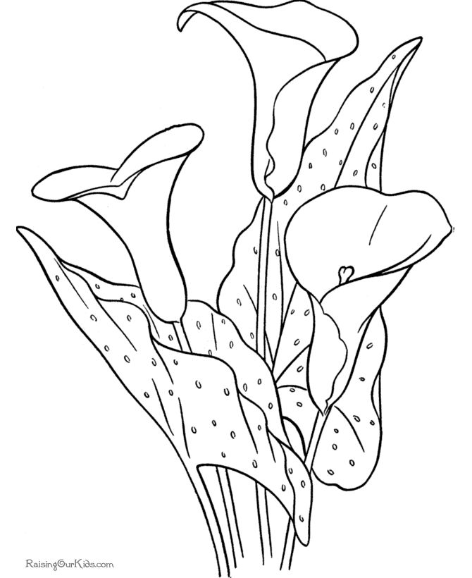 Flower coloring pages sheet 006