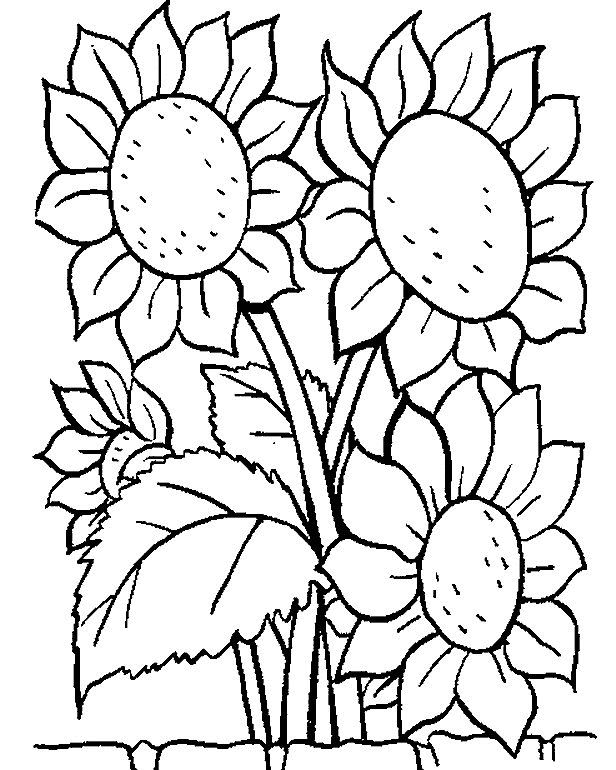 Flowers Coloring pages. Printable Flower Coloring Pages.These printable flower c…