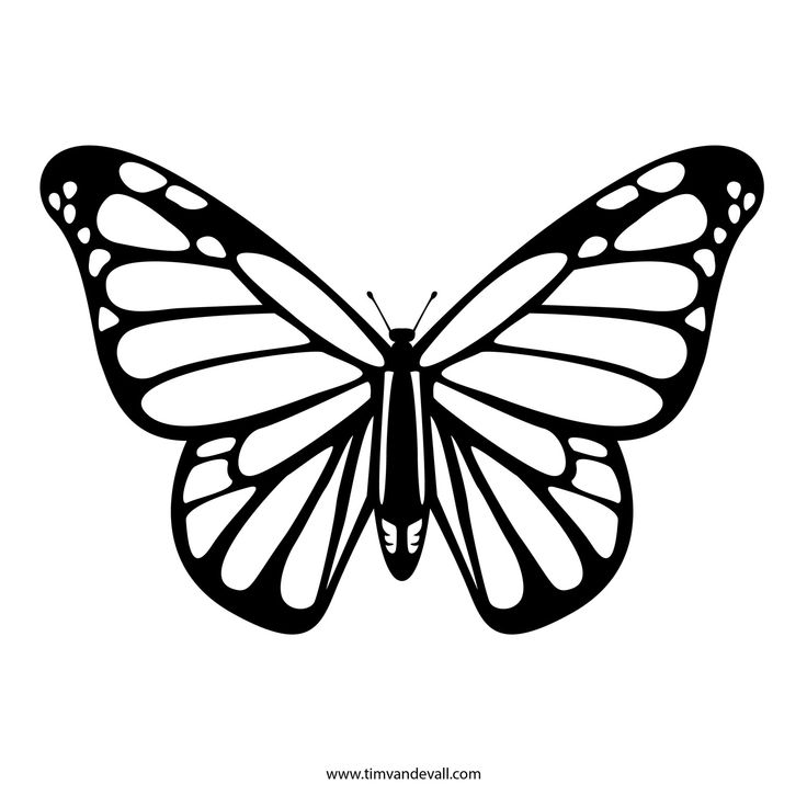 Free Butterfly Stencil | Monarch Butterfly Outline And Silhouette throughout Mon…