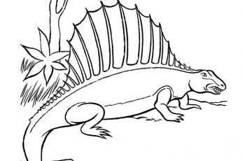 Download Free Dinosaur - dimetrodon coloring picture - TSgos.com