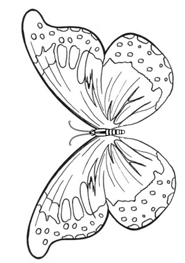 Free Online Printable Kids Colouring Pages – Butterfly Wings Colouring Page