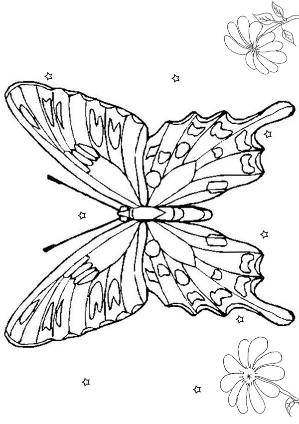 Free Online Spotted Butterfly Colouring Page – Kids Activity Sheets: Animal Colouring Pages