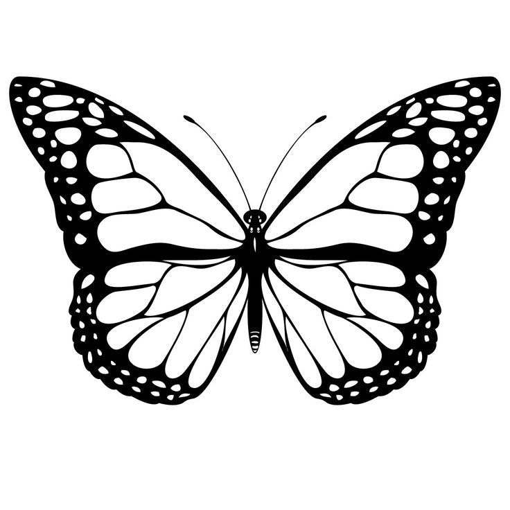 Free Printable Butterfly Coloring Pages For Kids Wallpaper