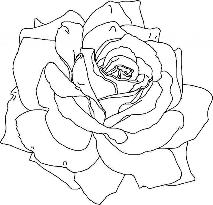 Free-Printable-Flower-Coloring-Pages-For-Kids Free Printable Flower Coloring Pages For Kids