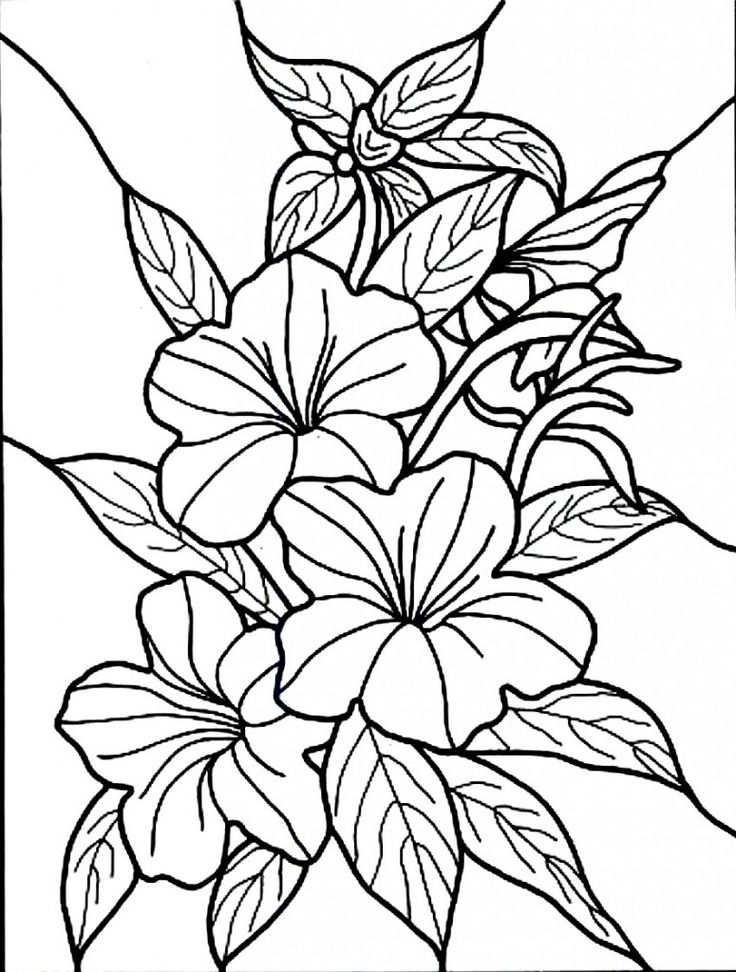 Free-Printable-Hibiscus-Coloring-Pages-For-Kids Free Printable Hibiscus Coloring Pages For Kids