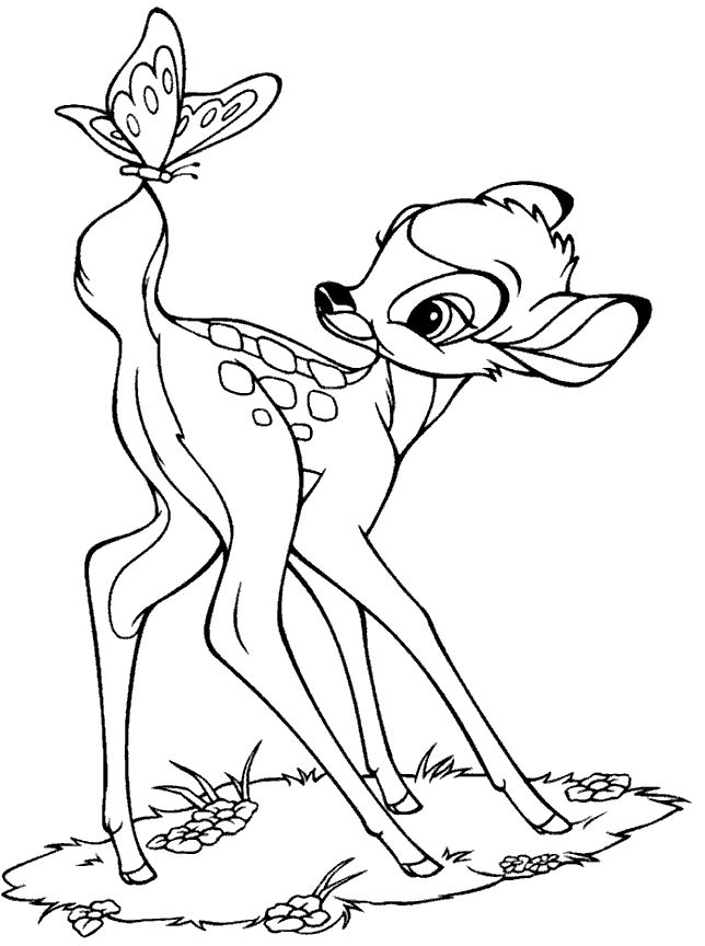 Gazelle Coloring Pages for School – Preschool and Kindergarten