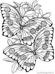 Image result for butterfly colouring sheets