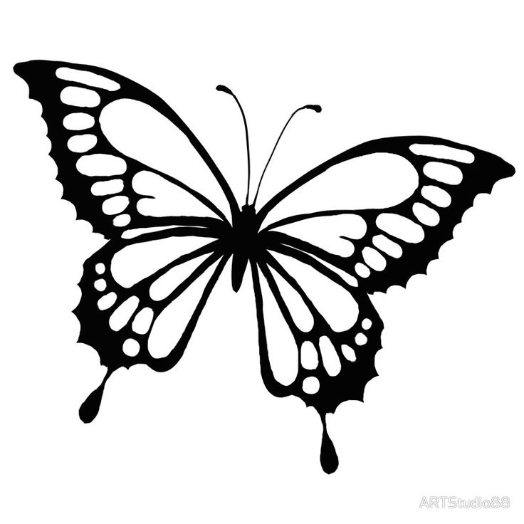 Ink-butterfly-Acrylic-Block Ink butterfly | Acrylic Block
