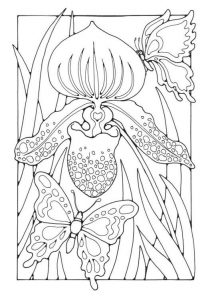 Download LILY-with-BUTTERFLIES-colouring-page-FREE-@-edupics.jpg - TSgos.com