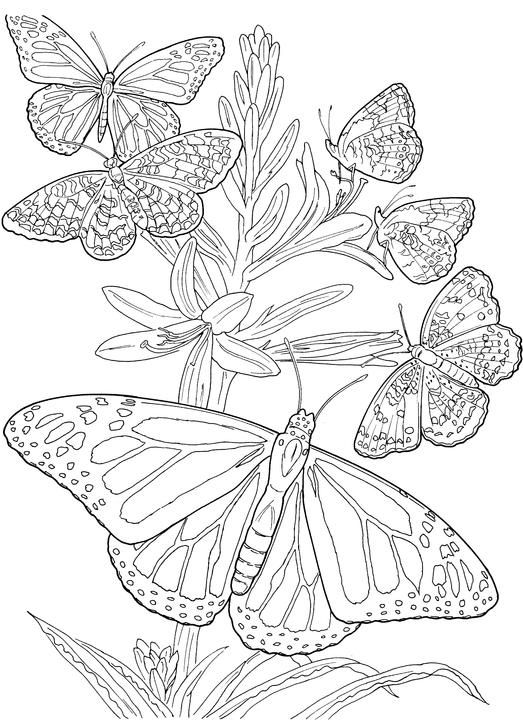 Mom’s coloring pages
