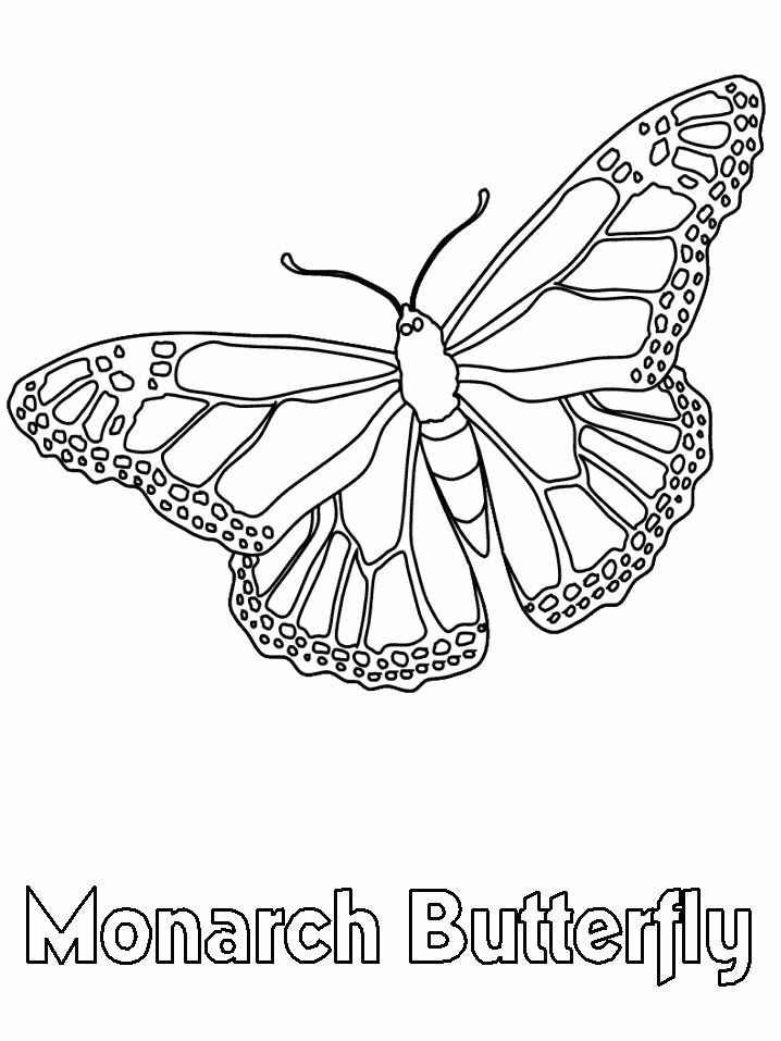Monarch-butterfly-coloring-book-page Monarch butterfly coloring book page