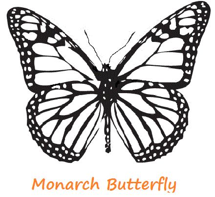 Printable monarch butterfly coloring sheet