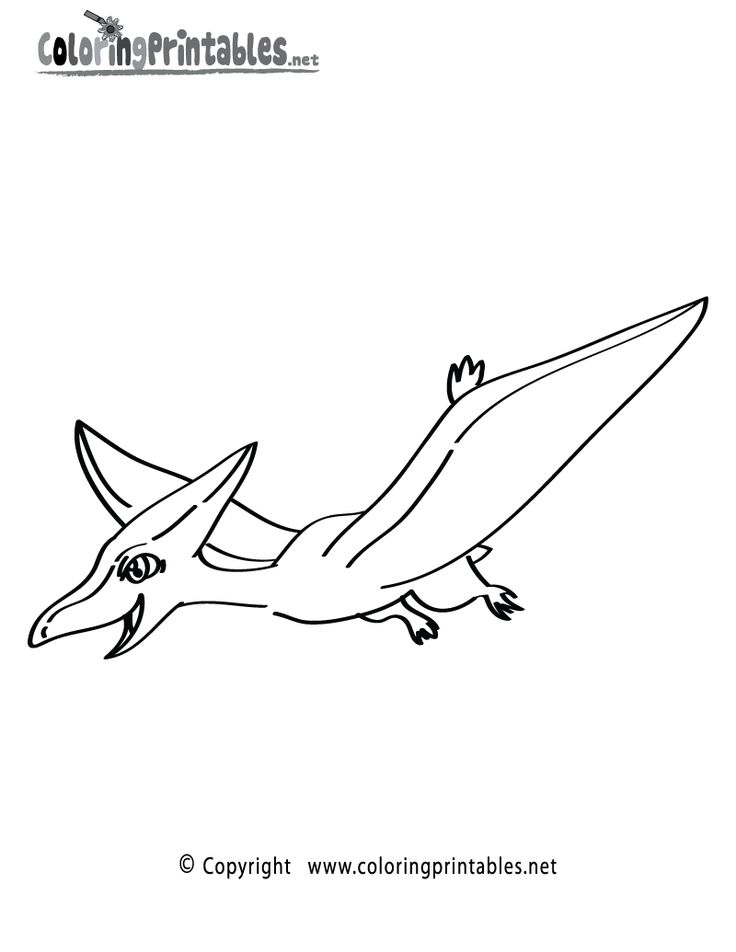 Pterodactyl Coloring Page Printable. Wallpaper