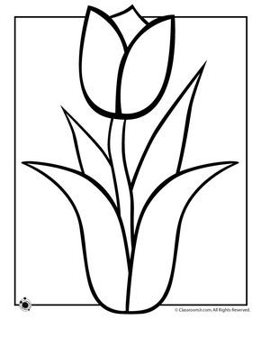 Spring-Tulip-Coloring-Page Spring Tulip Coloring Page
