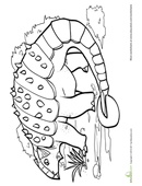 Teach your child all about the Ankylosaurus with this great dinosaur coloring pa…